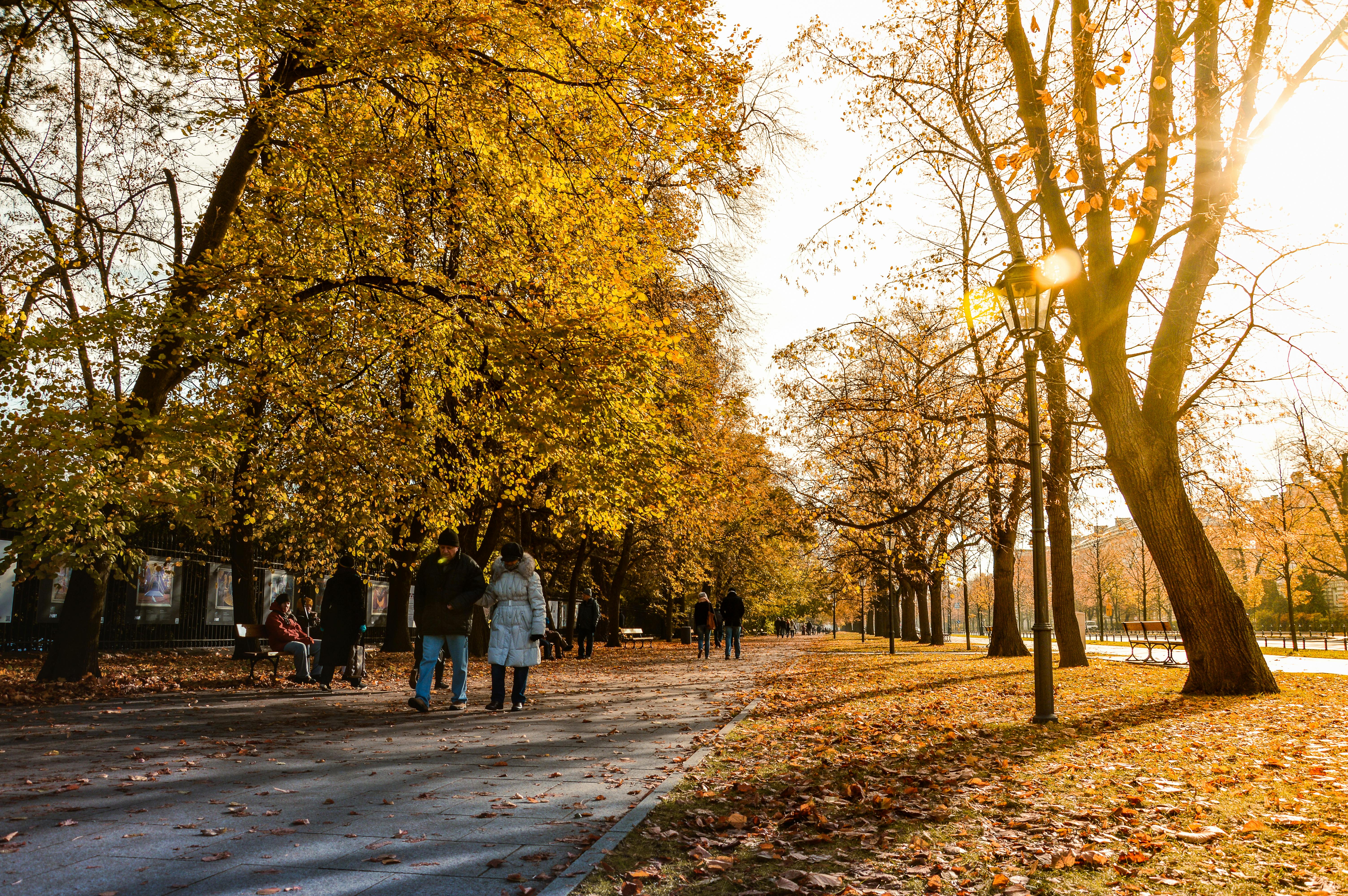 Parki i ogrody Warszawa