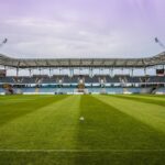 Legia warszawa żyleta